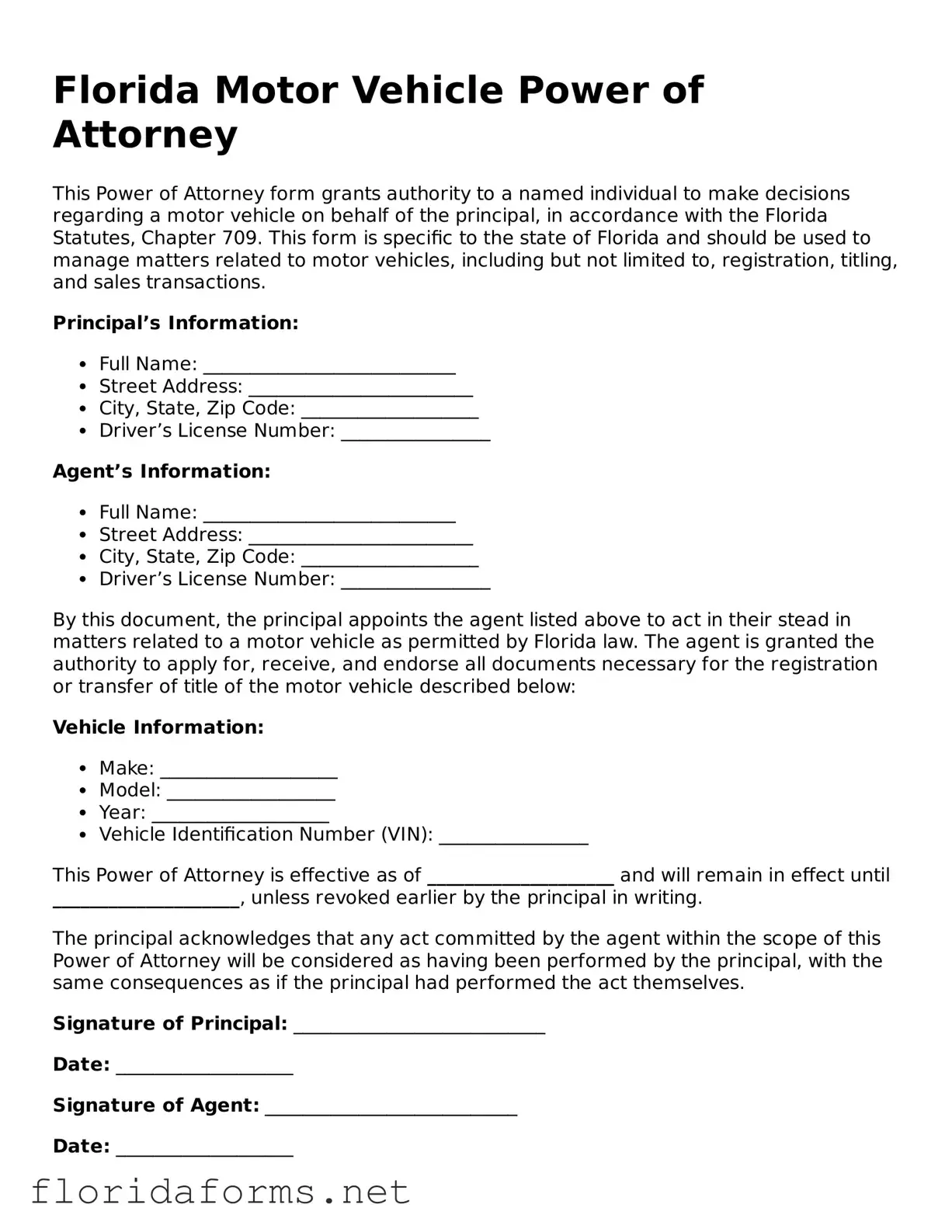 Attorney-Approved Motor Vehicle Power of Attorney Template for Florida State
