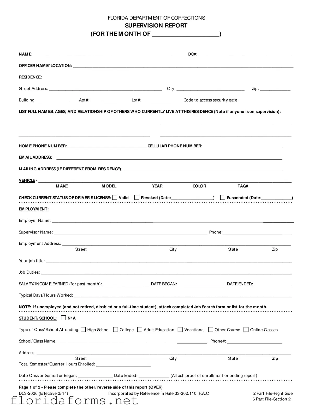 Official Florida Supervision Report Template