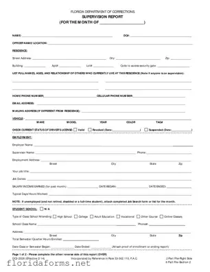 Official Florida Supervision Report Template