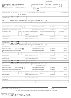 Official Florida Traffic Crash Report Template